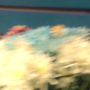 Meet your Posher, Liz